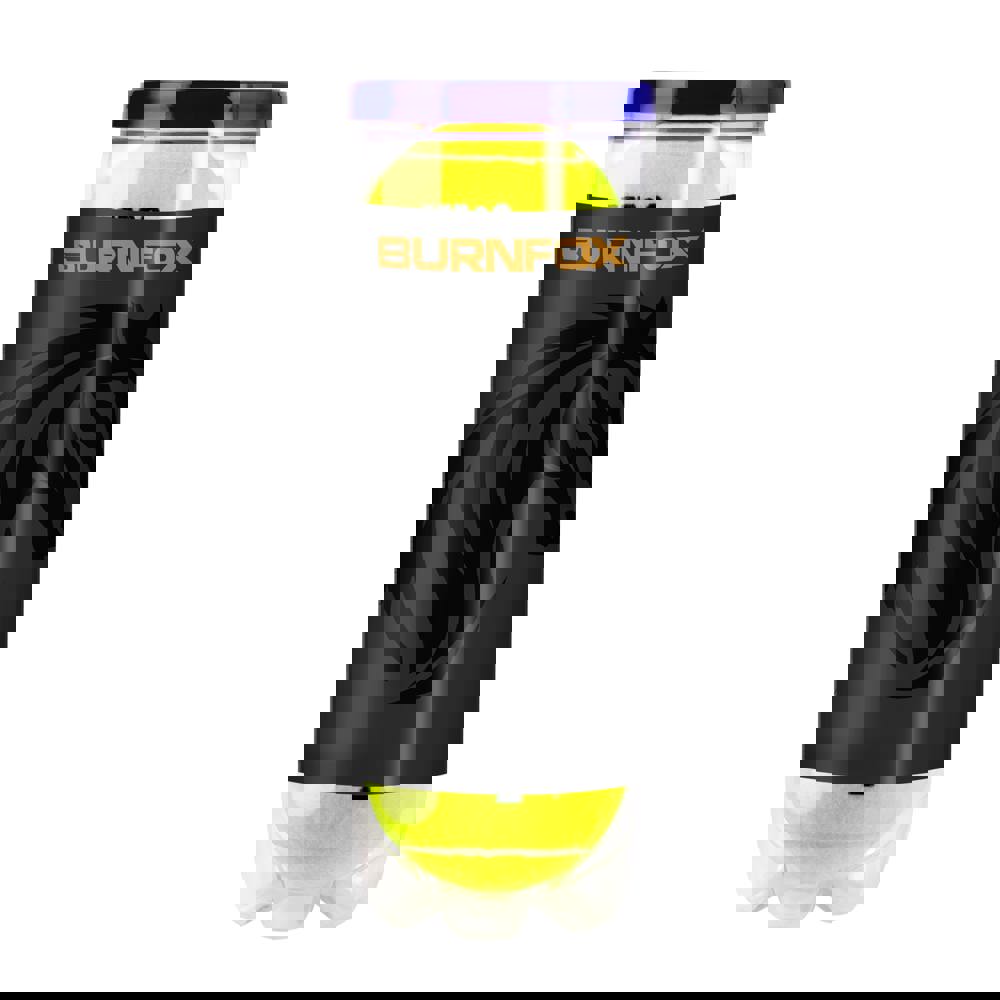 Wilson Roland Garros tennisballen