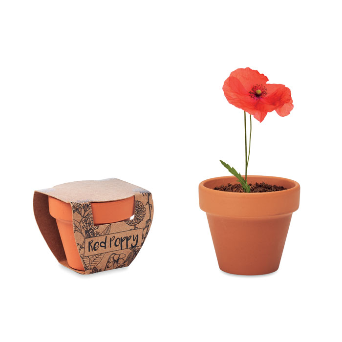RED POPPY - Potje Klaproos