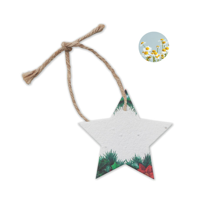 STARSEED - Zaadpapier kerstornament