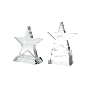 Top 10 awards bedrukken met logo
