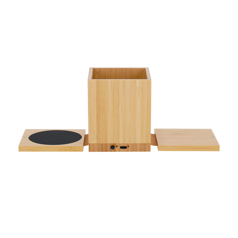 Multifunctioneel Pennenbakje Deblik