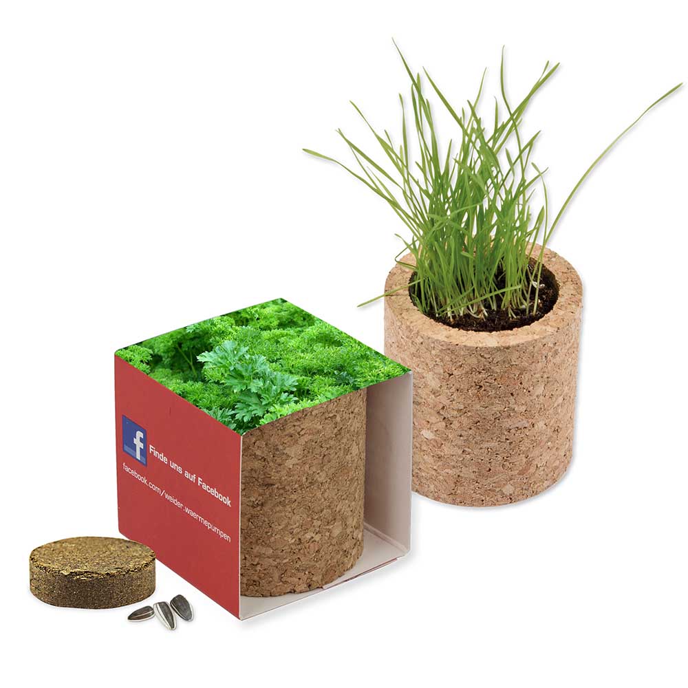 Kurken plantenset rond met zaden - Peterselie