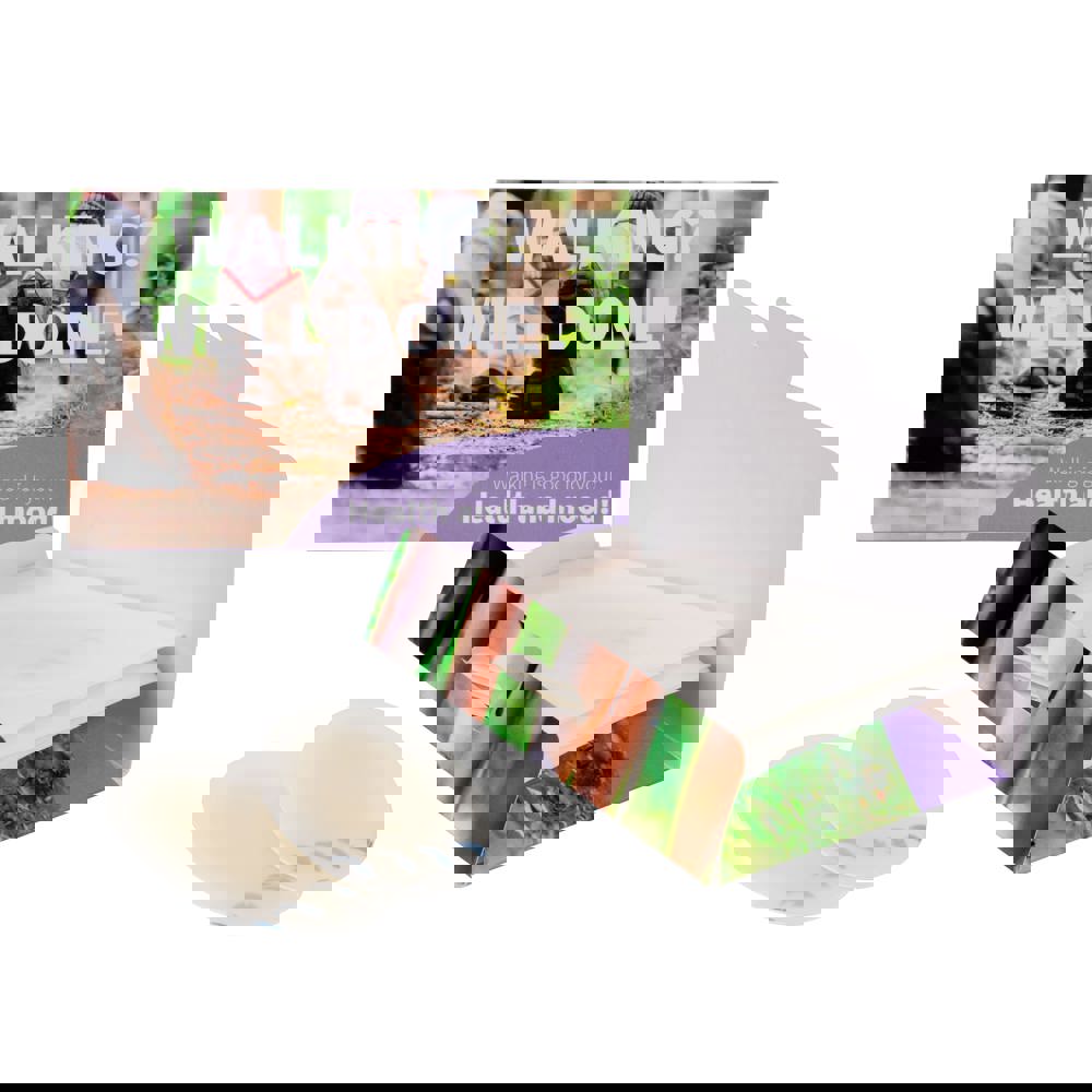 Blarenpleisters in envelop