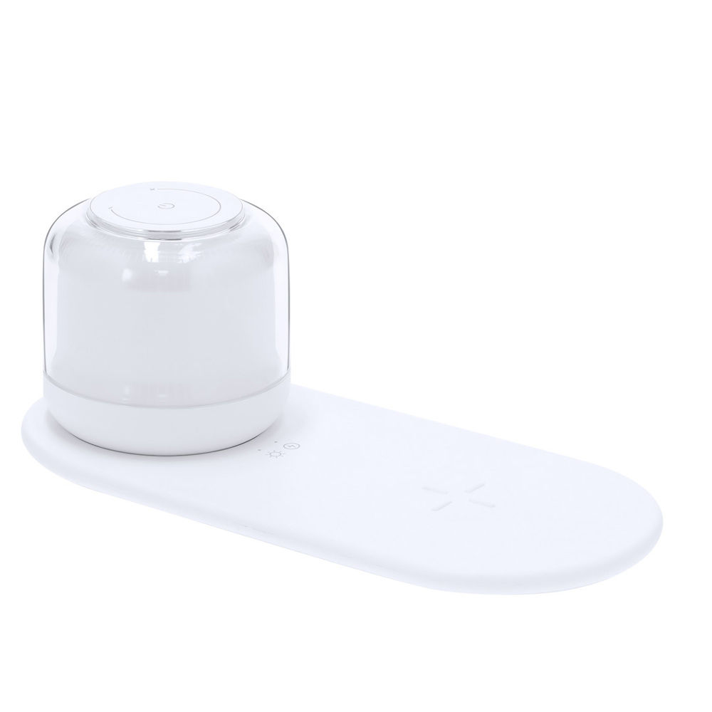 Oplader Lamp Reginal