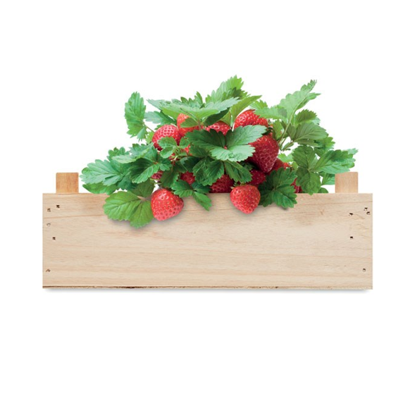 Planten en kruiden bedrukken met logo
